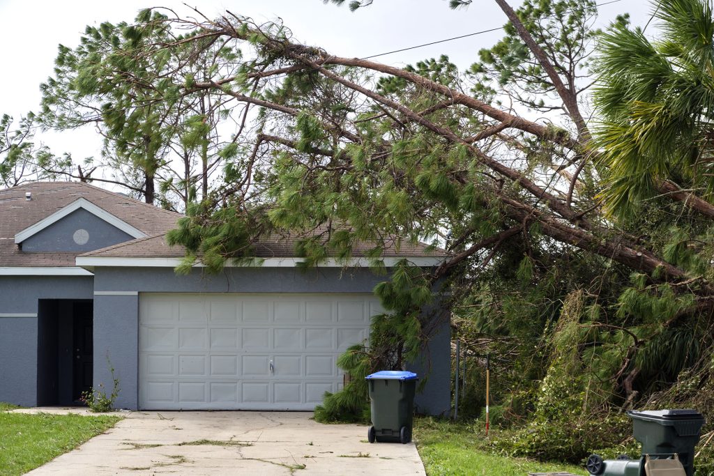 The Optimal Roofing Materials for High Winds: A Comprehensive Guide